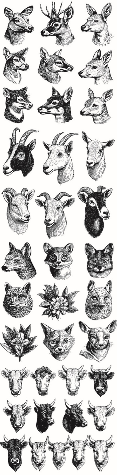 Engravers & Sketches Design Elements 30xAI