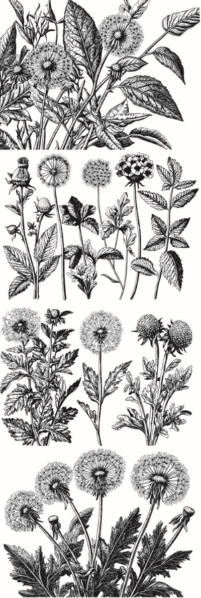 Engravers & Sketches Design Elements 30xAI