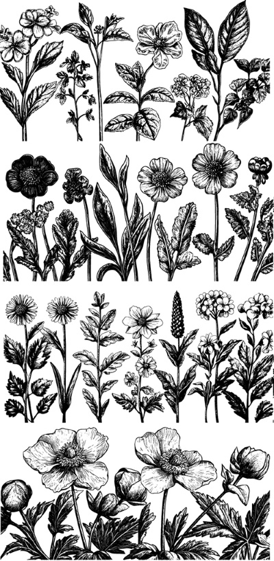 Engravers & Sketches Design Elements 30xAI