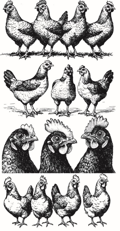 Engravers & Sketches Design Elements 30xAI