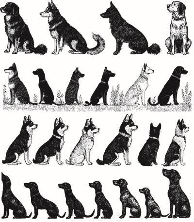 Engravers & Sketches Design Elements 30xAI