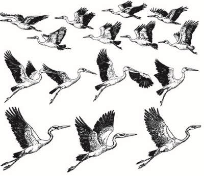 Engravers & Sketches Design Elements 30xAI