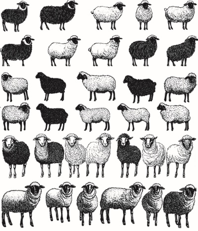 Engravers & Sketches Design Elements 30xAI