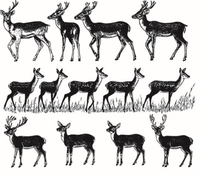 Engravers & Sketches Design Elements 30xAI