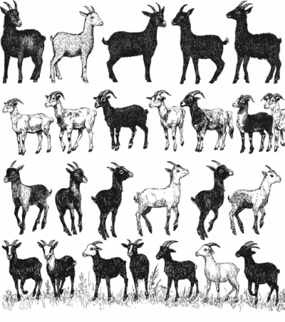 Engravers & Sketches Design Elements 30xAI