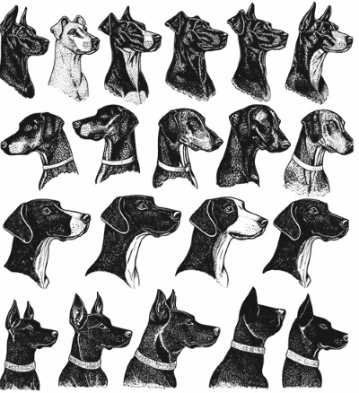 Engravers & Sketches Design Elements 30xAI