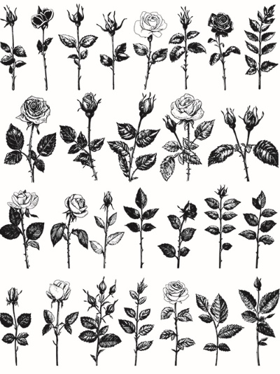 Engravers & Sketches Design Elements 30xAI