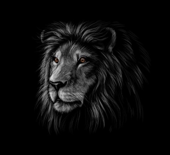 Lion Vectors #1, 30xAI