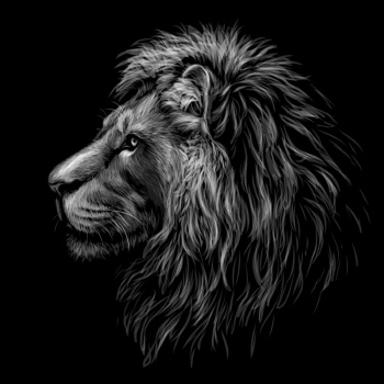 Lion Vectors #1, 30xAI