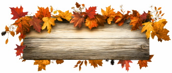 Pumpkin Autumn Thanksgiving Harvest Design Elements 30xPNG