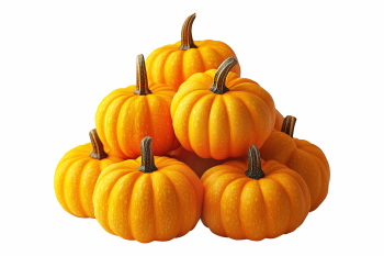 Pumpkin Autumn Thanksgiving Harvest Design Elements 30xPNG