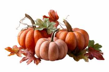 Pumpkin Autumn Thanksgiving Harvest Design Elements 30xPNG
