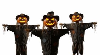 Pumpkin Autumn Thanksgiving Harvest Design Elements 30xPNG