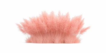 Pumpkin Autumn Thanksgiving Harvest Design Elements 30xPNG