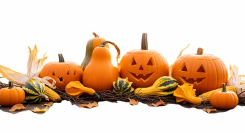 Pumpkin Autumn Thanksgiving Harvest Design Elements 30xPNG