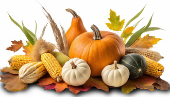 Pumpkin Autumn Thanksgiving Harvest Design Elements 30xPNG