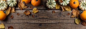 Thanksgiving Landscape Backgrounds 25xJPG