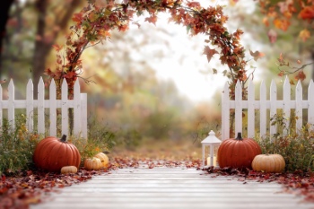Thanksgiving Landscape Backgrounds 25xJPG