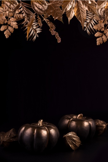 Thanksgiving Portrait Backgrounds 25xJPG