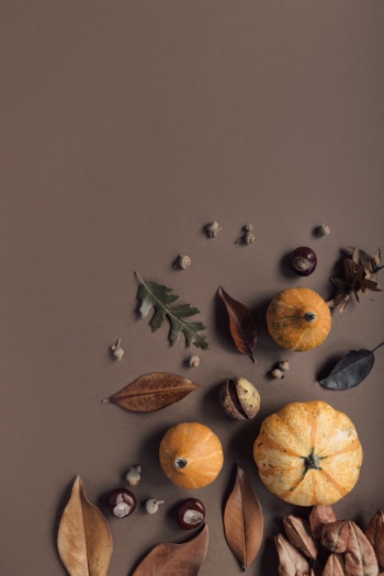 Thanksgiving Portrait Backgrounds 25xJPG