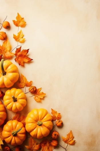 Thanksgiving Portrait Backgrounds 25xJPG