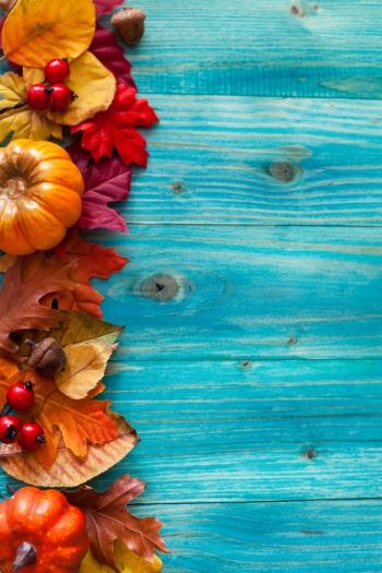 Thanksgiving Portrait Backgrounds 25xJPG