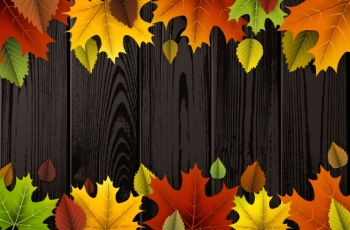 Autumn Special Sale Backgrounds 21xEPS