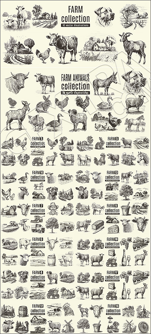 Vintage Farm & Farm Animals Engravings 14xAI