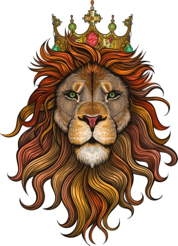 Lion Vectors #2, 30xAI