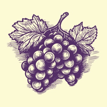 Vintage Food Engravings 37xAI