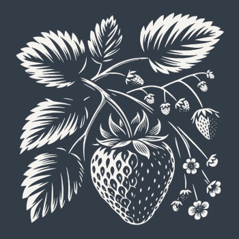 Vintage Food Engravings 37xAI