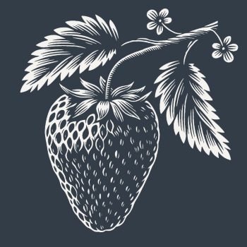 Vintage Food Engravings 37xAI