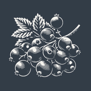 Vintage Food Engravings 37xAI