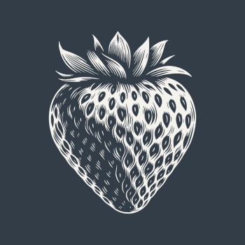 Vintage Food Engravings 37xAI