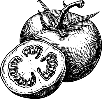 Vintage Food Engravings 37xAI