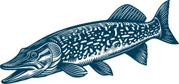 Vintage Food Engravings 37xAI