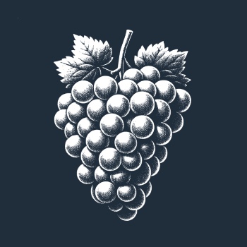 Vintage Food Engravings 37xAI