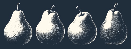 Vintage Food Engravings 37xAI