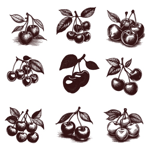 Vintage Food Engravings 37xAI