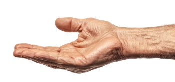 Presenting Hands & Arms 40xPNG