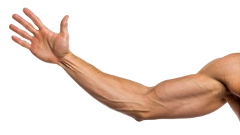 Presenting Hands & Arms 40xPNG