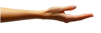 Presenting Hands & Arms 40xPNG