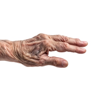 Presenting Hands & Arms 40xPNG
