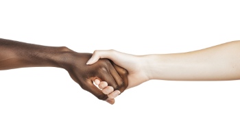 Presenting Hands & Arms 40xPNG