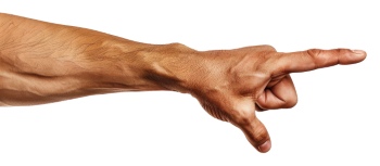Presenting Hands & Arms 40xPNG