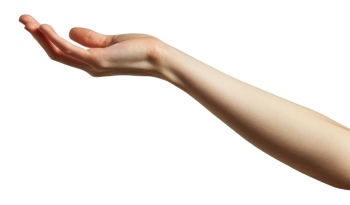 Presenting Hands & Arms 40xPNG