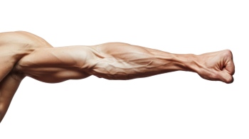 Presenting Hands & Arms 40xPNG