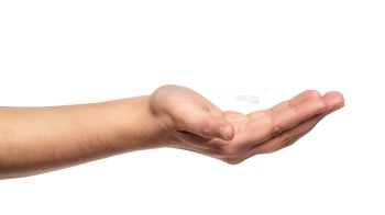 Presenting Hands & Arms 40xPNG