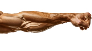 Presenting Hands & Arms 40xPNG