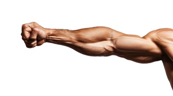 Presenting Hands & Arms 40xPNG